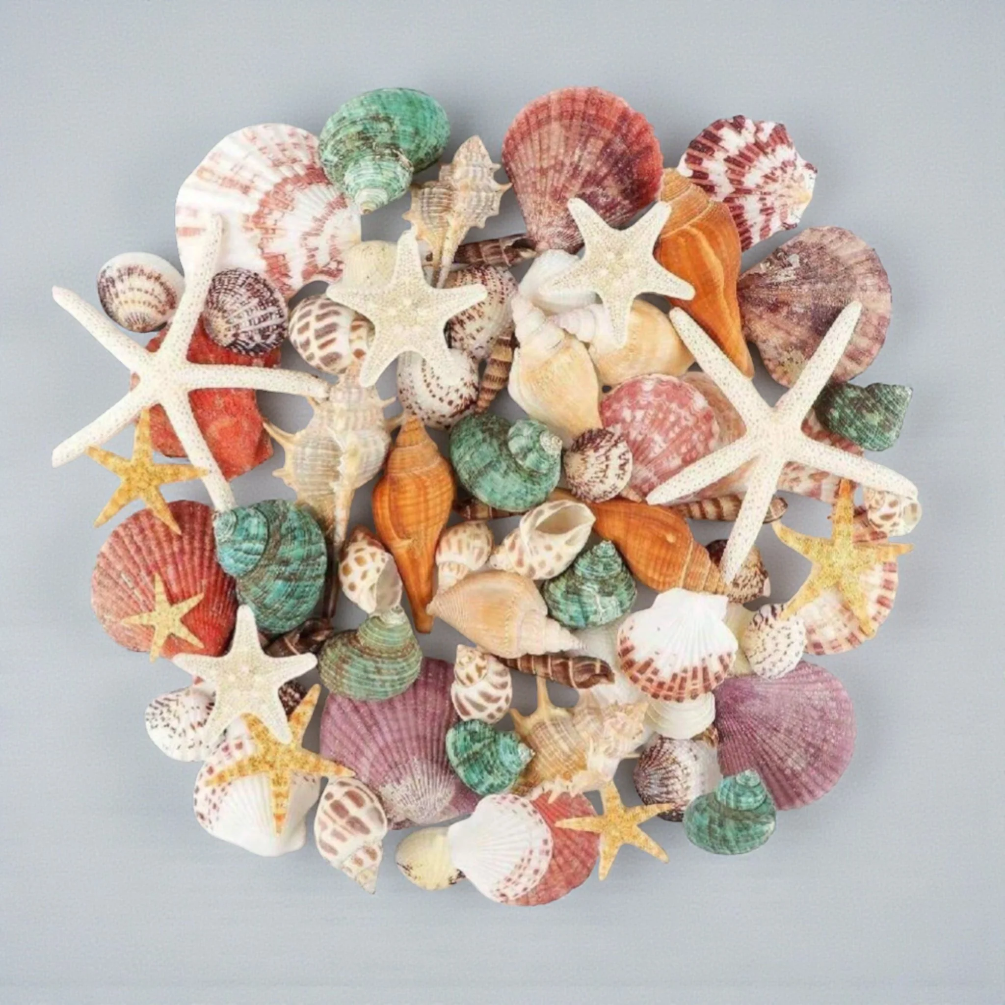 Immagine prodotto 2